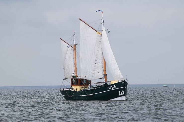 Acara Acara