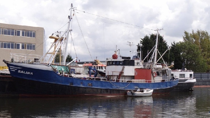 Salina