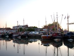 fotos_van_anneke_8_20120615_1162930530