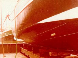 uit_de_visserij_4_20120214_1990058825